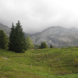 Le Stelvio 2009
