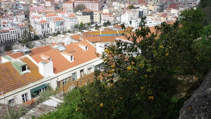 Lisbonne 2013 464